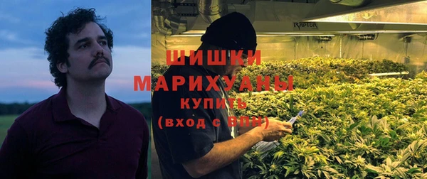 метадон Алексин
