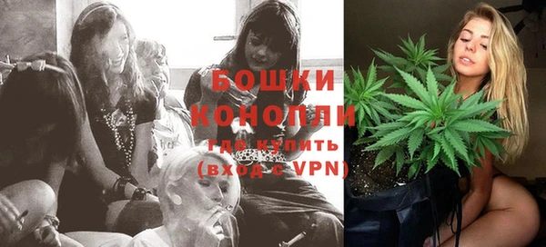 сатива Абинск