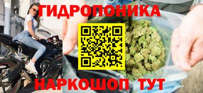 индика Кизляр