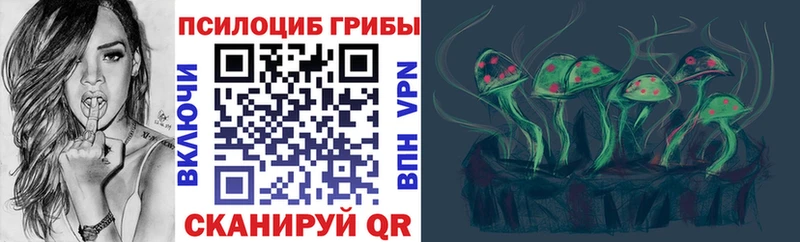 магазин  наркотиков  Шахты  Галлюциногенные грибы Psilocybe 