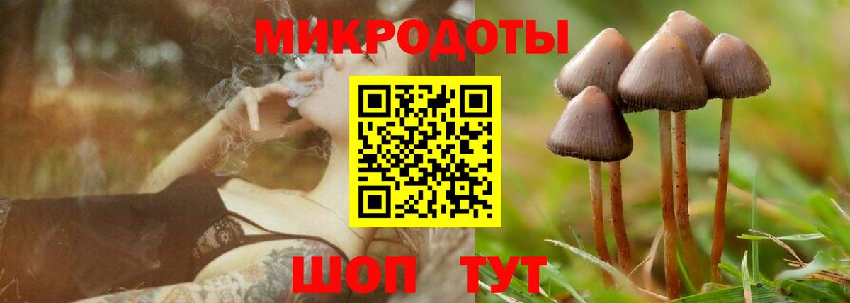 Шахты  Галлюциногенные грибы Psilocybe  Псилоцибиновые грибы прущие грибы  Вход с VPN 